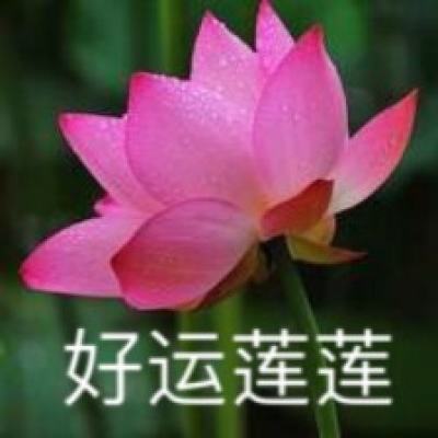 森林营地手游下载